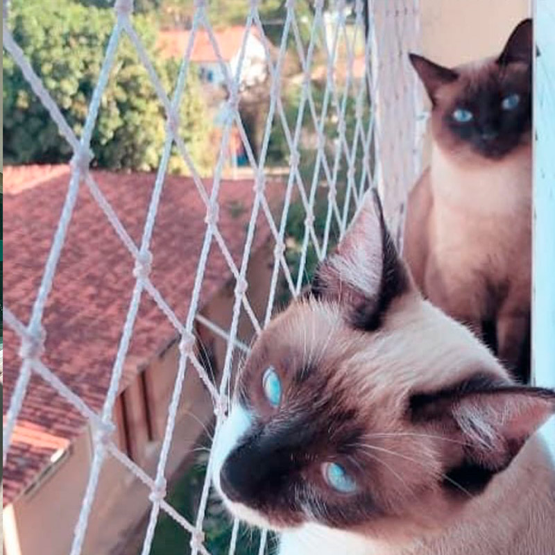 A Sua Escolha Certa em Telas e Redes de Proteção: Segurança Completa para Sua Família e Lar