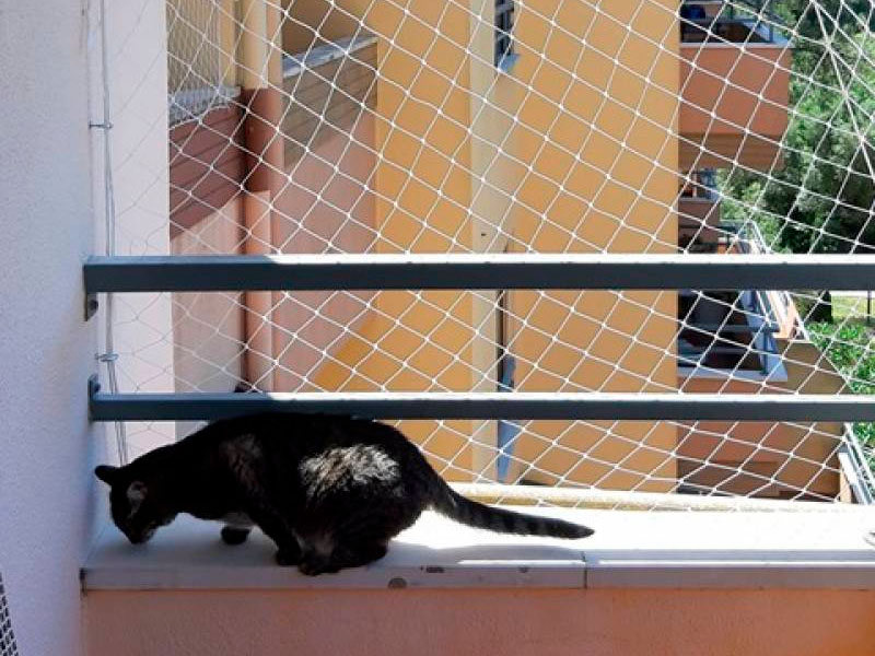 Quanto custa um metro de tela de segurança para gato?