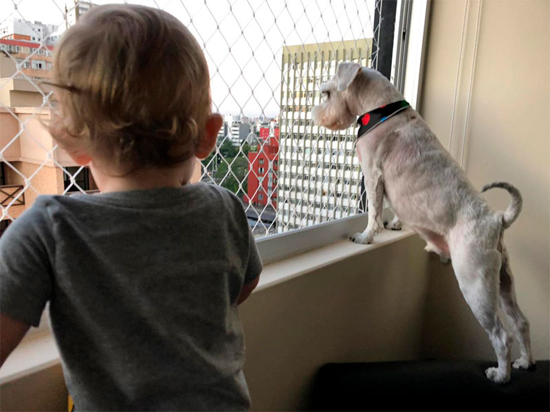 Redes de Proteção Para Pets e Crianças: Dá Para Usar a Mesma?