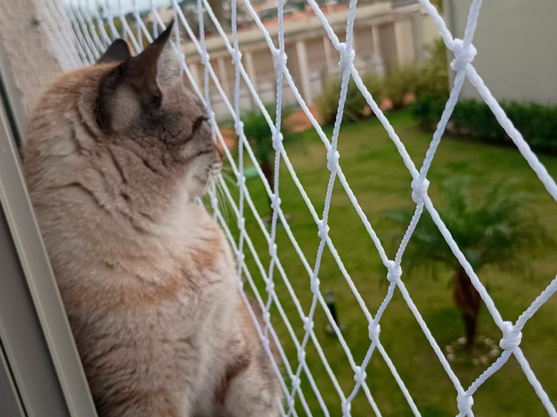 Redes de Proteção para Gatos: A Segurança que Todo Dono Responsável Deve Conhecer