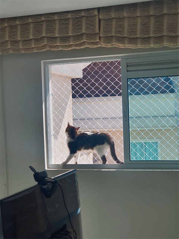 Redes de Proteção em Curitiba 